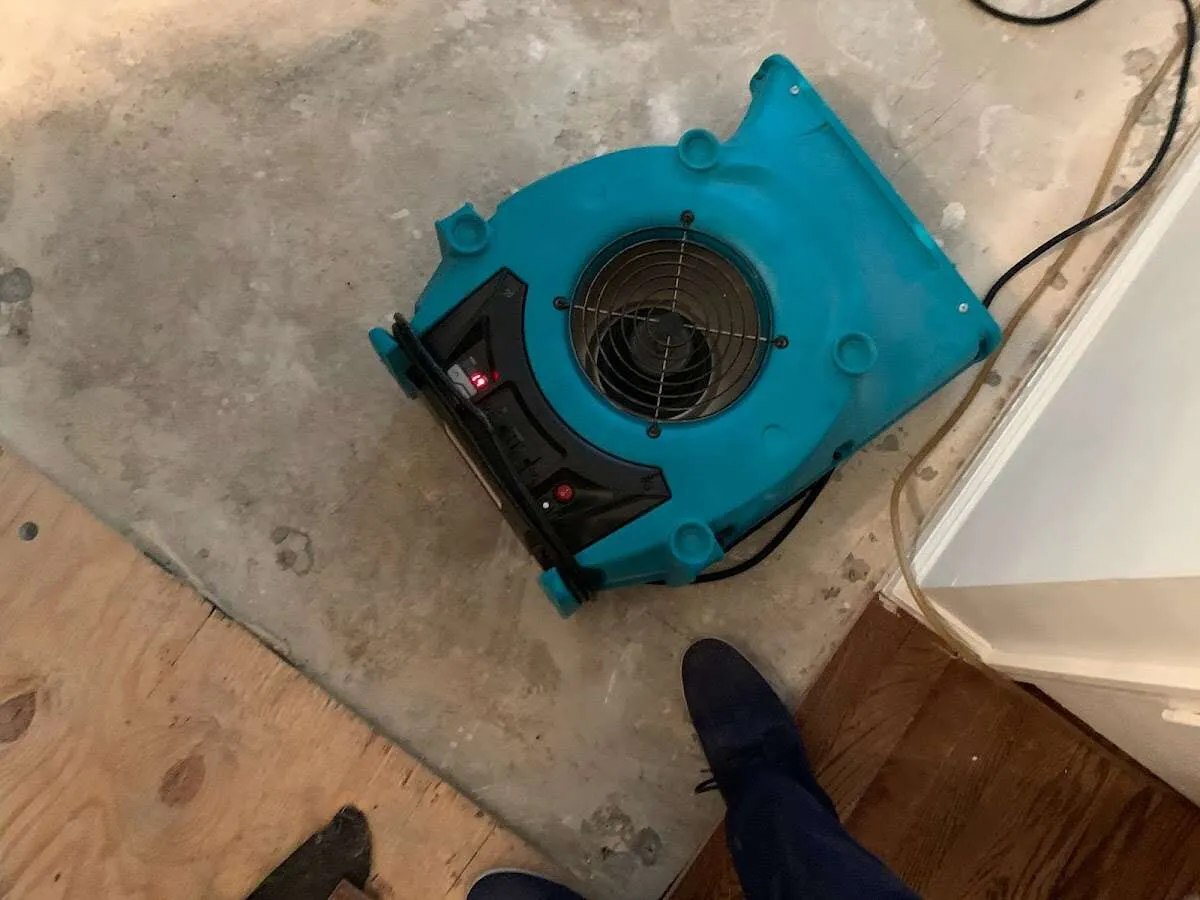 Air mover drying subfloor during Leak Detection & Repair in Burien